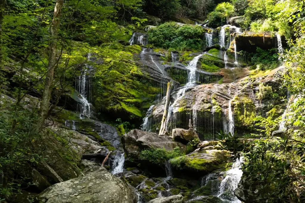 A lush forest scene in the heart of the Appalachian Mountains features a cascading waterfall flowing over moss-covered rocks. Dense green trees and vegetation surround the falls, creating a serene and tranquil natural landscape.