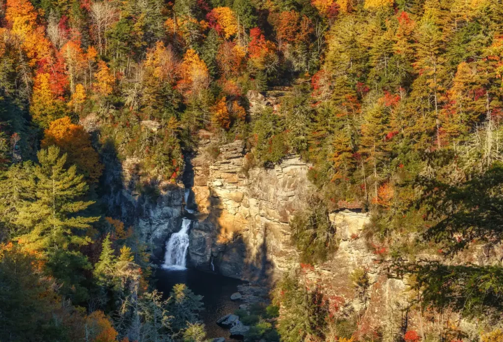 A scenic waterfall cascades into a small pool surrounded by the dense forests of the Appalachian Mountains. The foliage displays vibrant autumn colors, including reds, oranges, and yellows. Sunlight casts shadows, highlighting the rocky cliff and lush greenery.