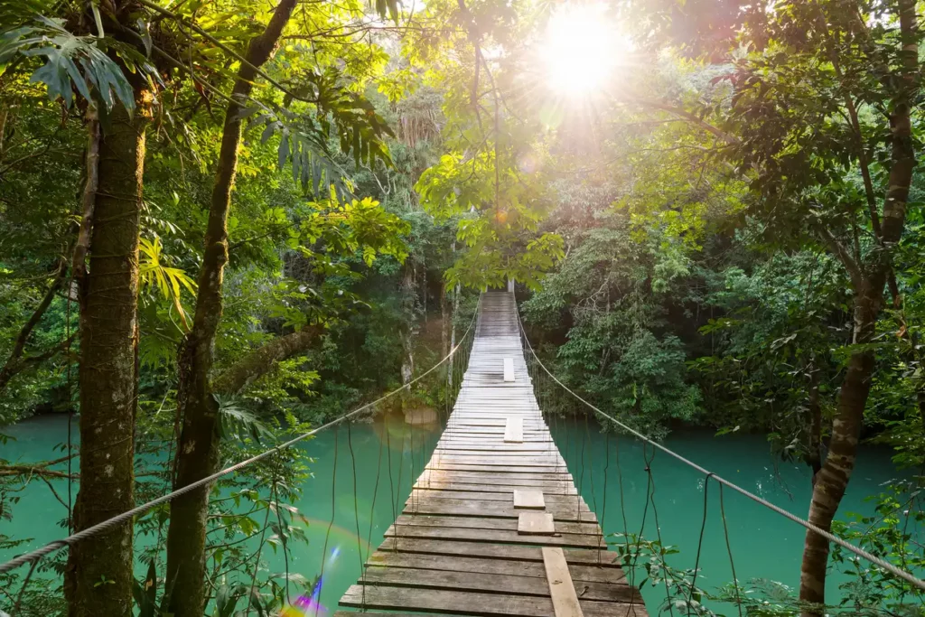 A wooden suspension bridge spans over vibrant turquoise water in a lush forest near Belize City, with sunlight filtering through the dense canopy of green leaves. The bridge leads towards a sunlit path surrounded by tall trees and foliage, offering a serene escape from urban life.