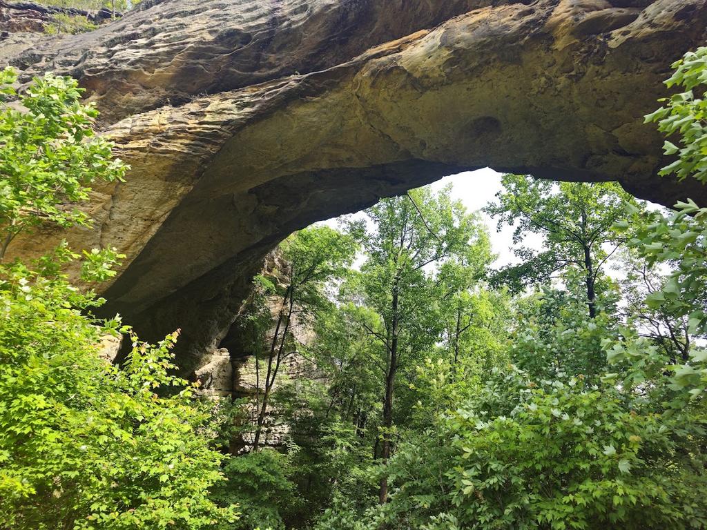 Daniel Boone National Forest, London, US