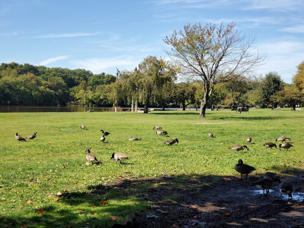 Fairmount Park, Philadelphia