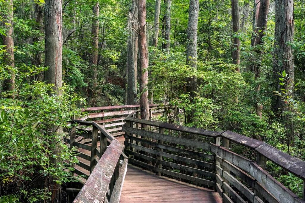 First Landing State Park, Virginia Beach, United States