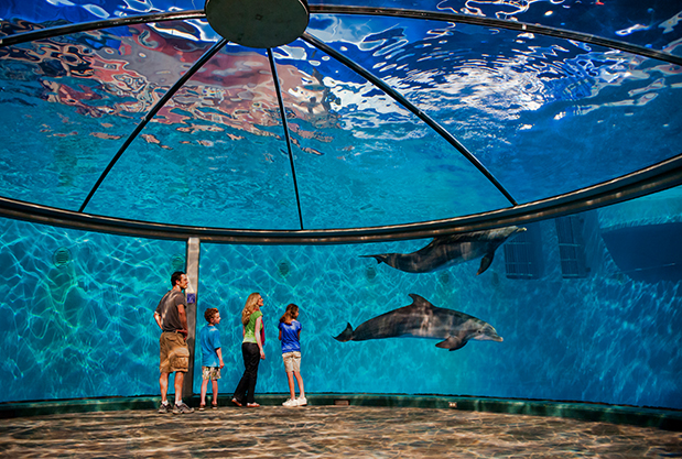 Indianapolis Zoo, Indianapolis, United States