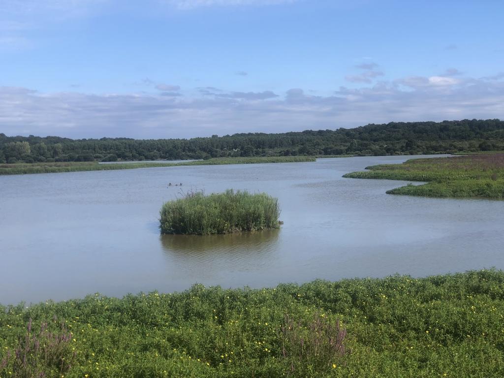 Le Parc Ornithologique, Hossegor, France