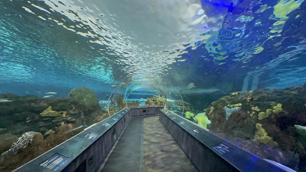 Ripley's Aquarium of Canada, Toronto, Canada