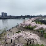 Waterfront Park, Portland