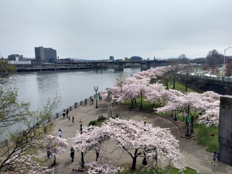 Waterfront Park, Portland