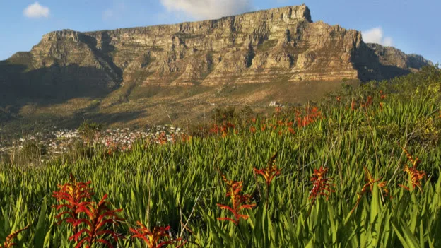 Table Mountain Aerial Cableway