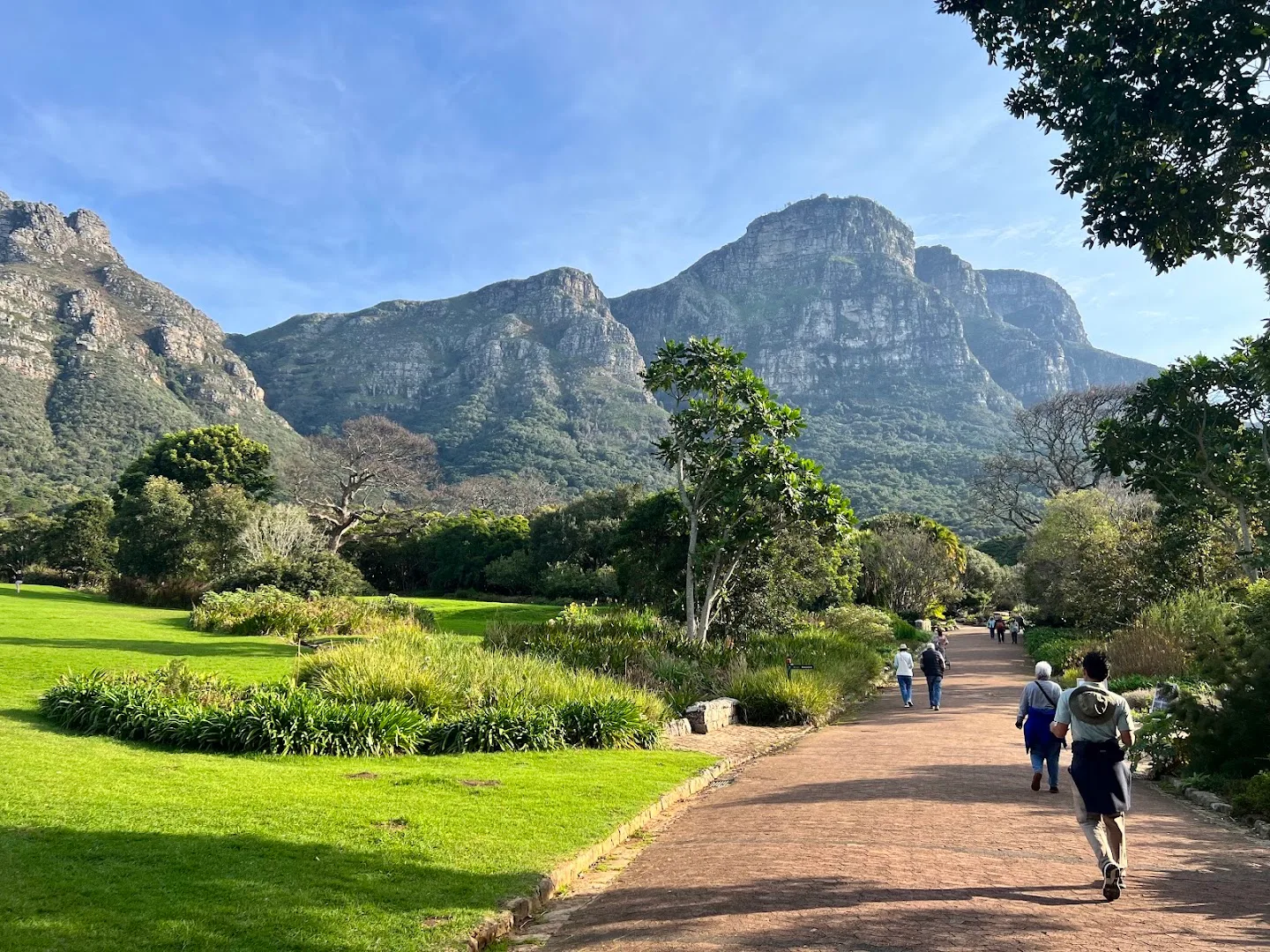 Kirstenbosch National Botanical Garden