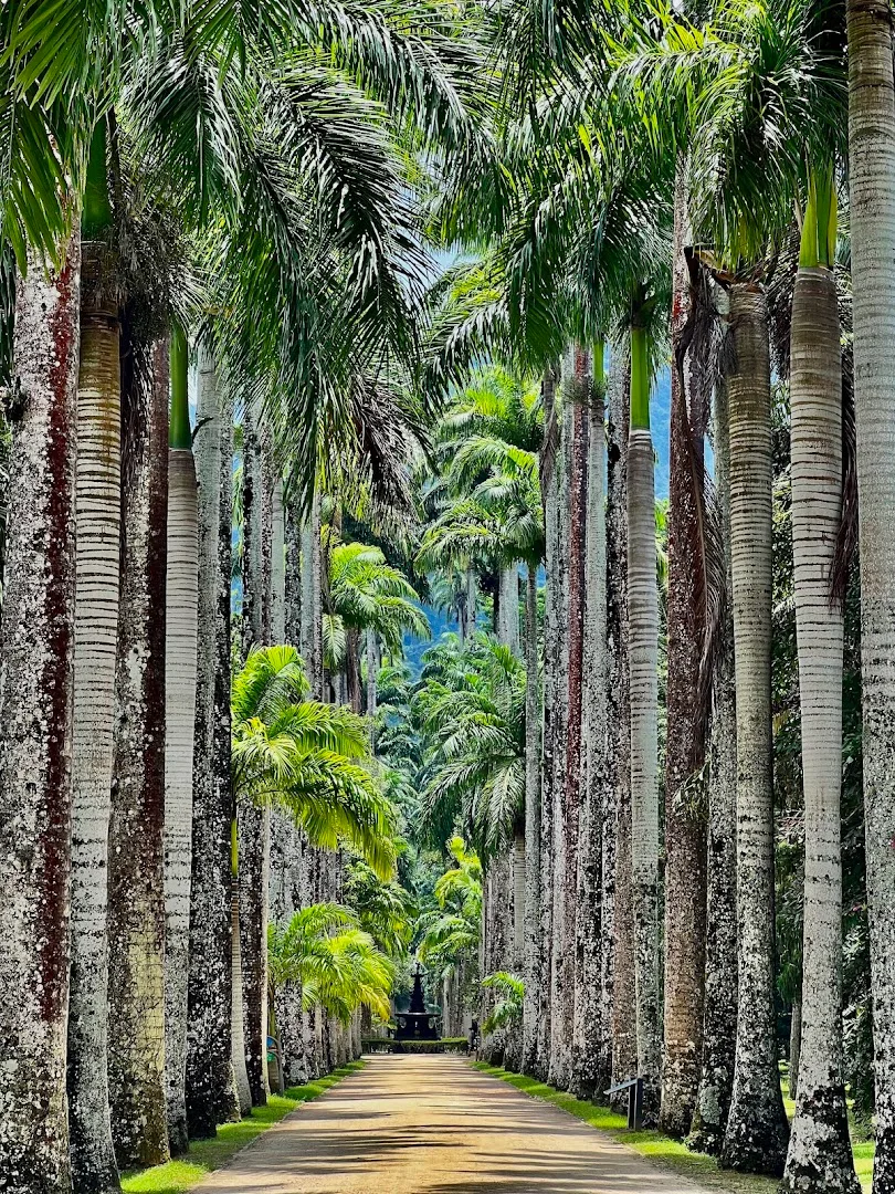 Botanical Garden of Rio de Janeiro